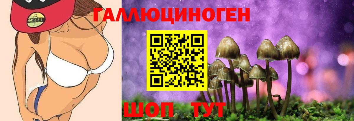Галлюциногенные грибы ЛСД  как найти наркотики  Электросталь  Вход с VPN 